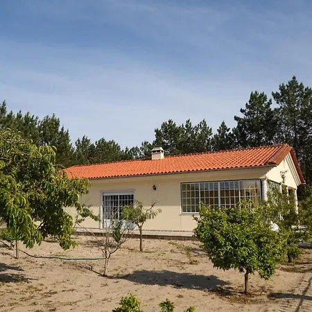 Landscape Nazaré